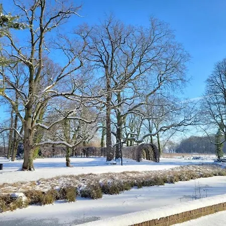 Vakantiehuis Beautiful In The Heart Of Maasduinen National Park