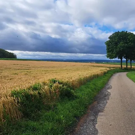 Maasduinen Near National Park Nyaraló Wellerlooi