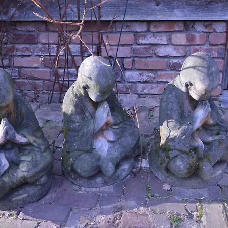 Nyaraló Maasduinen Near National Park *