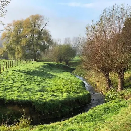 Maasduinen Near National Park Wellerlooi