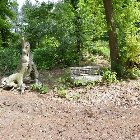 Maasduinen Near National Park Nyaraló Wellerlooi