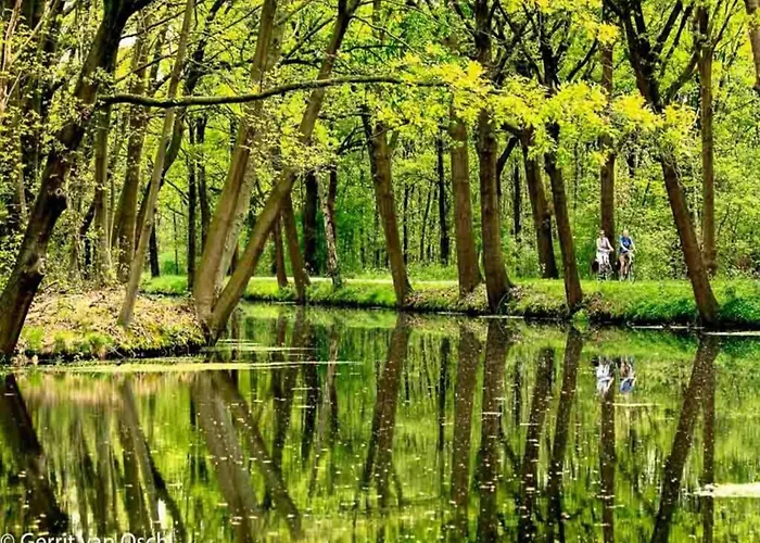 Maasduinen Near National Park * Wellerlooi