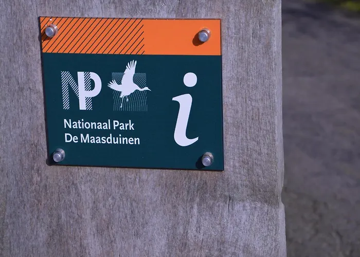 Maasduinen Near National Park