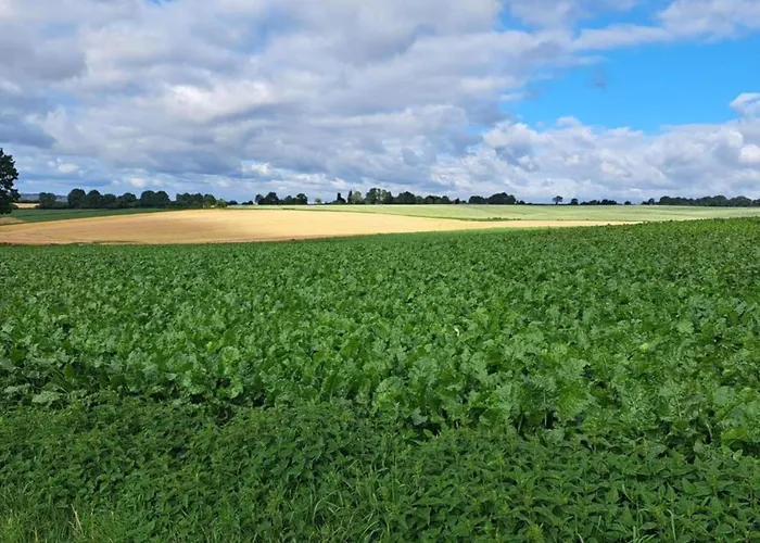 Tatil Evi Maasduinen Near National Park Wellerlooi