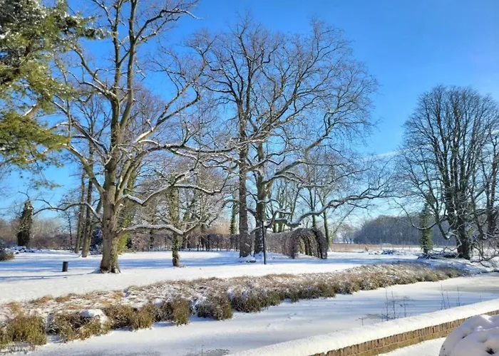 Maasduinen Near National Park Wellerlooi