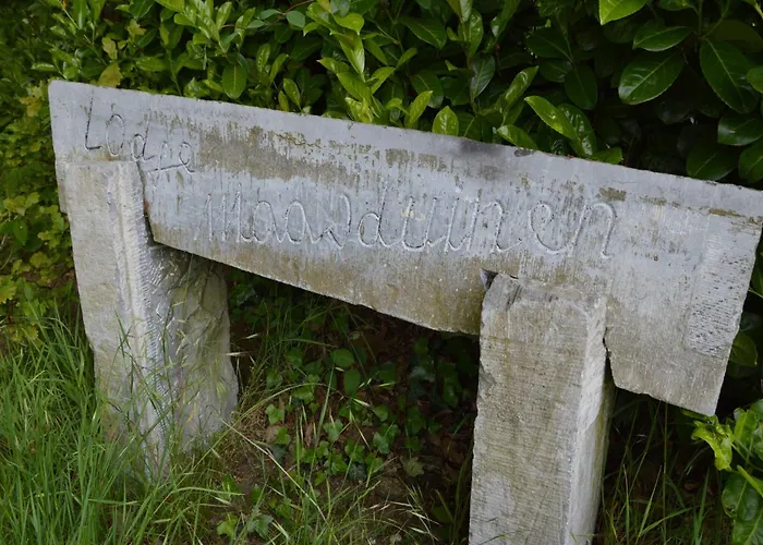 Maasduinen Near National Park Tatil Evi