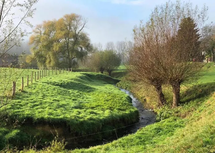 Maasduinen Near National Park Wellerlooi