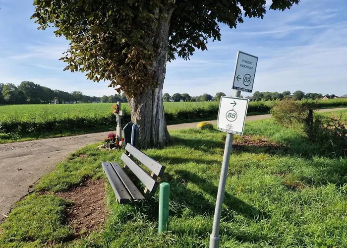 Maasduinen Near National Park * Wellerlooi