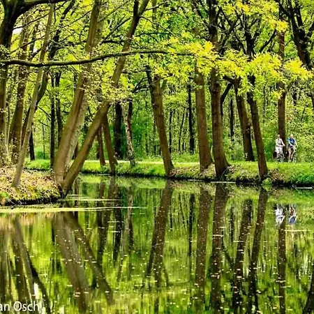 Maasduinen Near National Park * فيليلويْ