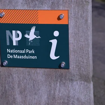 Maasduinen Near National Park