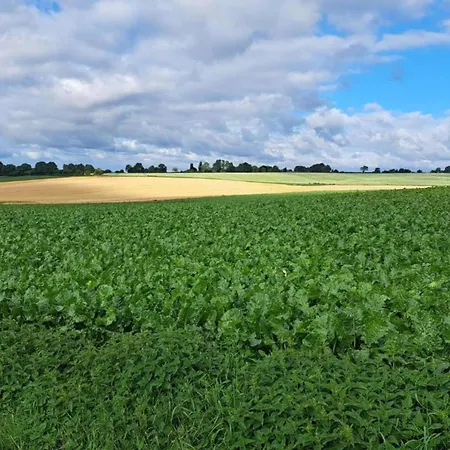 بيت للعطل Maasduinen Near National Park فيليلويْ