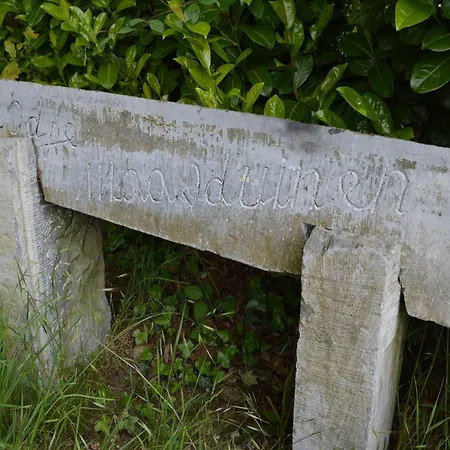 Maasduinen Near National Park بيت للعطل